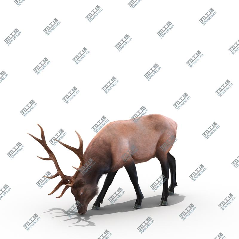 images/goods_img/2021040232/Elk Rigged with Fur/4.jpg